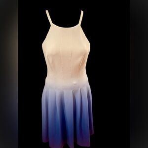Calvin Klein Women’s Sleeveless Ombre White/Blue Pleated Dress SZ 4